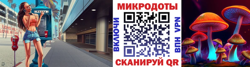 Псилоцибиновые грибы Psilocybe Нижние Серги